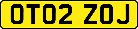 OT02ZOJ