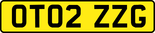 OT02ZZG