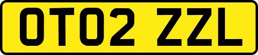 OT02ZZL