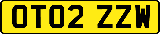 OT02ZZW