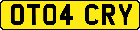 OT04CRY