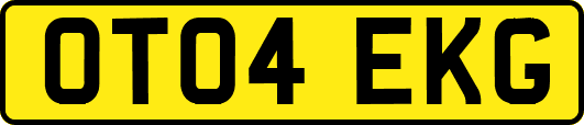 OT04EKG