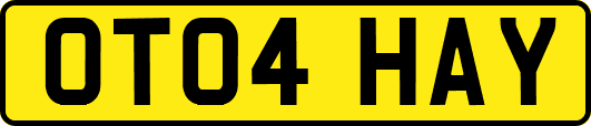 OT04HAY