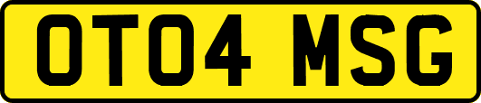 OT04MSG