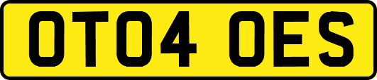 OT04OES