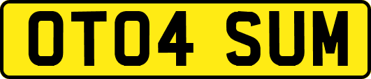 OT04SUM