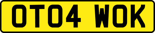 OT04WOK