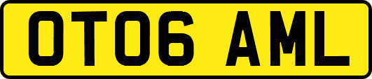OT06AML