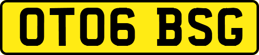 OT06BSG