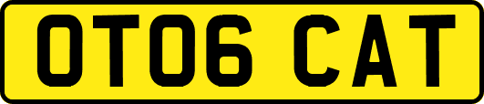 OT06CAT