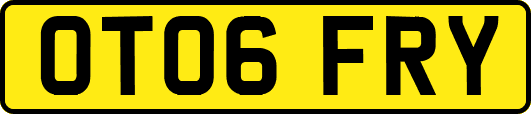 OT06FRY
