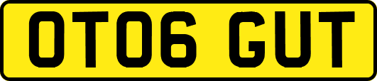 OT06GUT