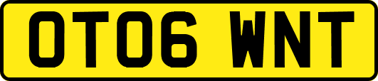 OT06WNT