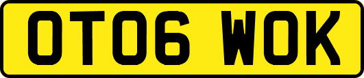 OT06WOK