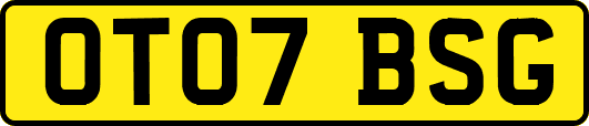 OT07BSG