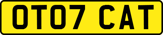 OT07CAT