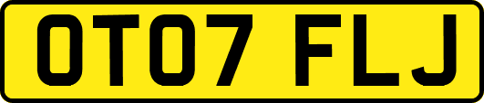 OT07FLJ