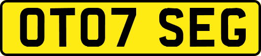 OT07SEG