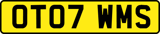 OT07WMS