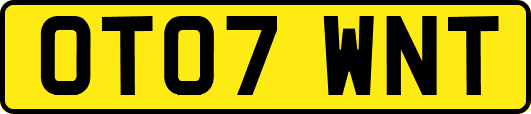 OT07WNT