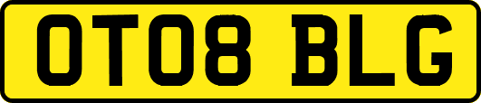 OT08BLG