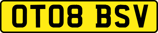 OT08BSV