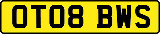 OT08BWS