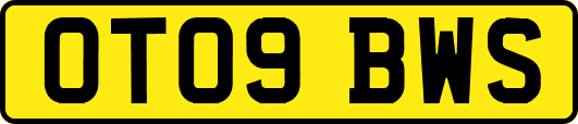 OT09BWS