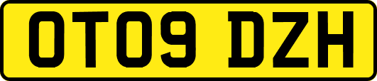 OT09DZH