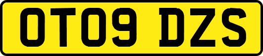 OT09DZS