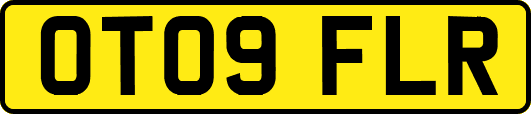 OT09FLR