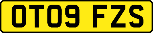 OT09FZS