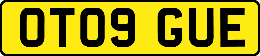 OT09GUE