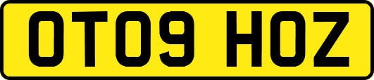 OT09HOZ