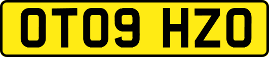 OT09HZO