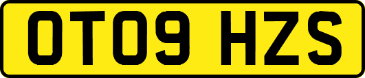 OT09HZS