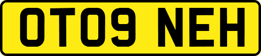 OT09NEH