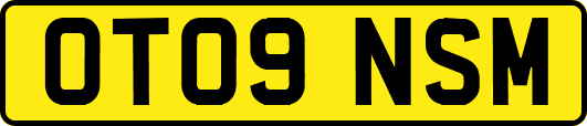 OT09NSM