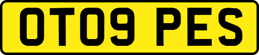 OT09PES