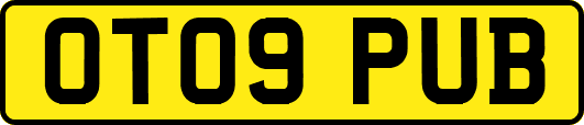 OT09PUB