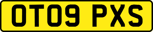 OT09PXS