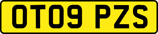 OT09PZS