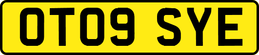 OT09SYE