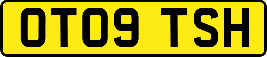 OT09TSH