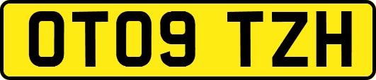 OT09TZH