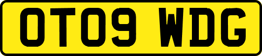 OT09WDG