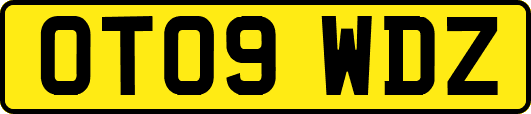 OT09WDZ