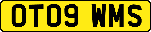 OT09WMS