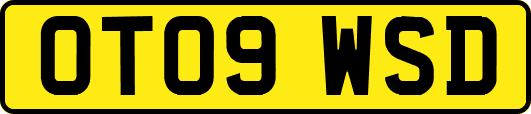 OT09WSD