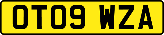 OT09WZA